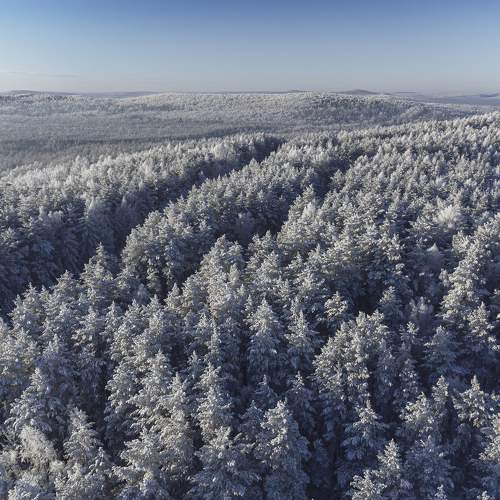 Photo #10167998