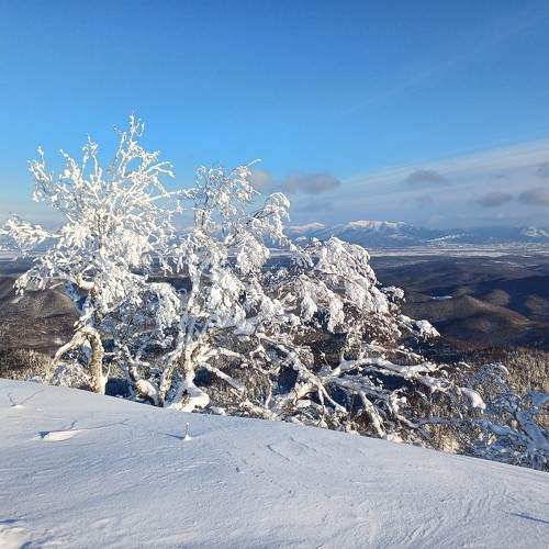 Photo #10168065