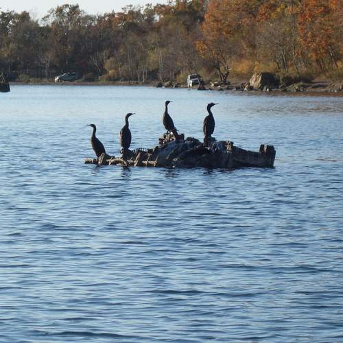 Photo #10168401