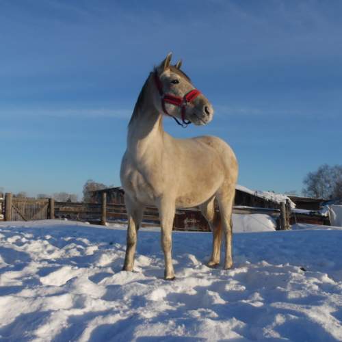 Photo #10168484