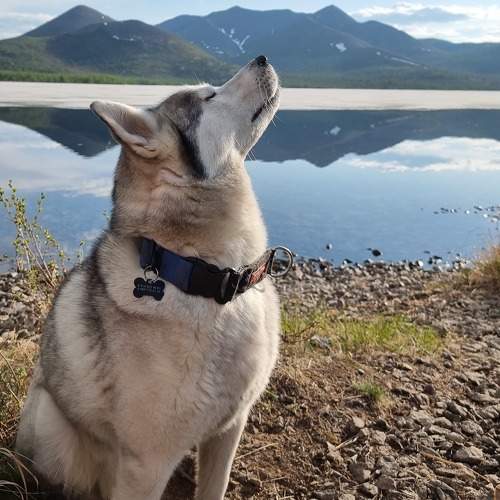 Photo #10168498