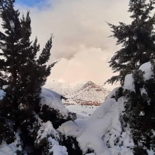 Photo #10168553