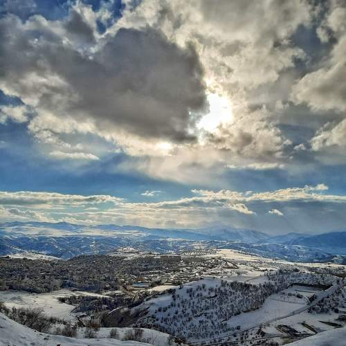 Photo #10168556