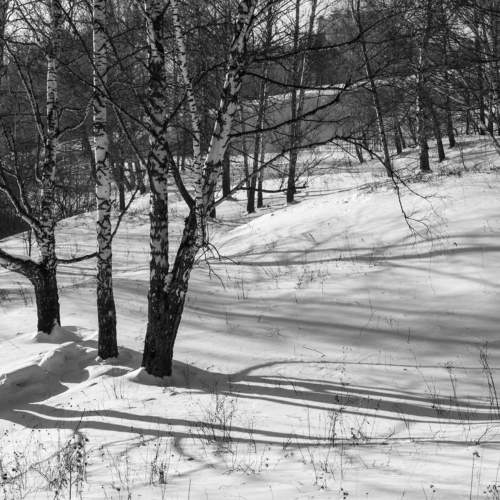 Photo #10168926