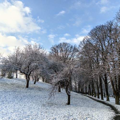 Photo #10169182