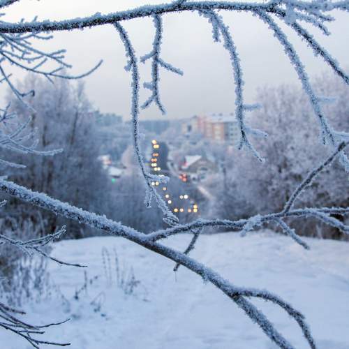 Photo #10169580