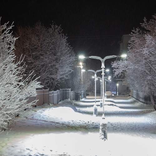 Photo #10169583