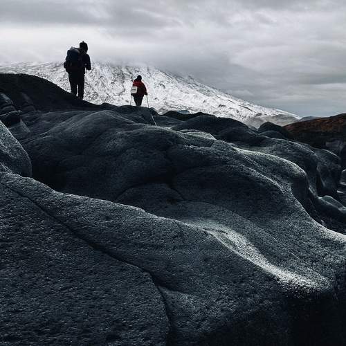 Photo #10169587