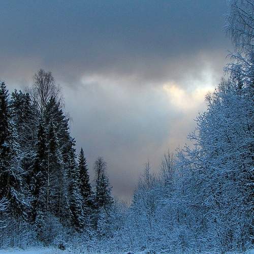 Photo #10169773