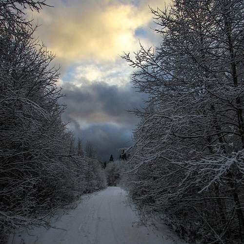 Photo #10169774