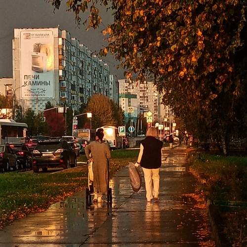 Photo #10169845