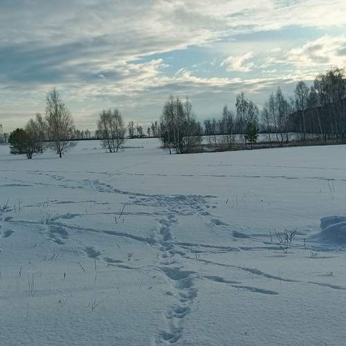 Photo #10169911