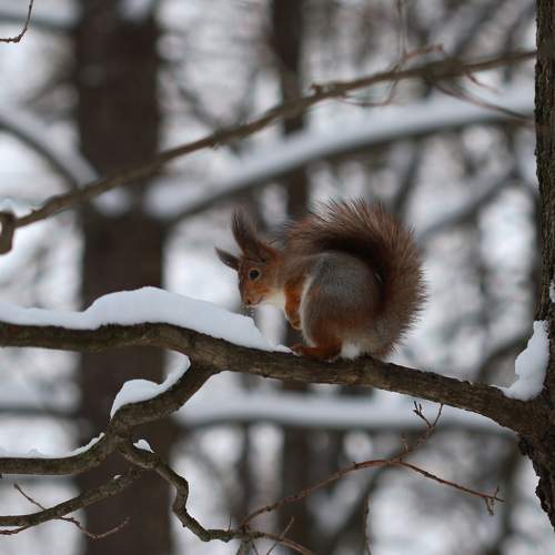 Photo #10170100