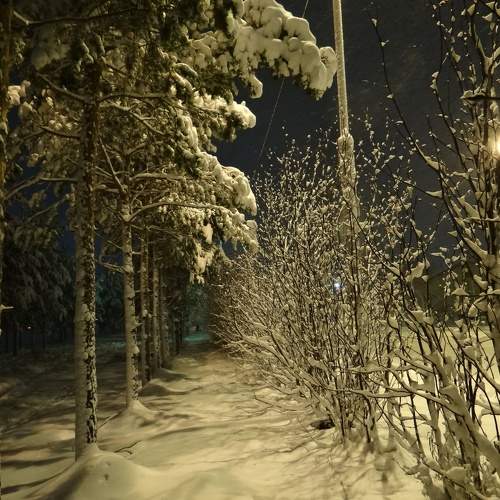 Photo #10170115