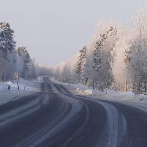 Photo #10170155