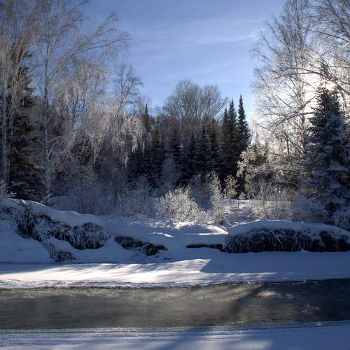 Photo #10170177