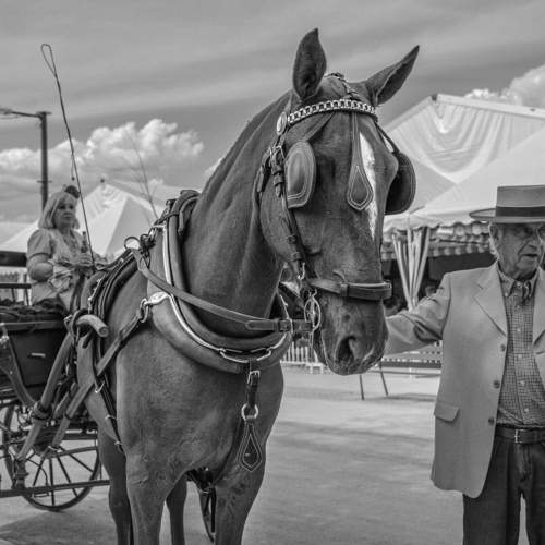 Feria