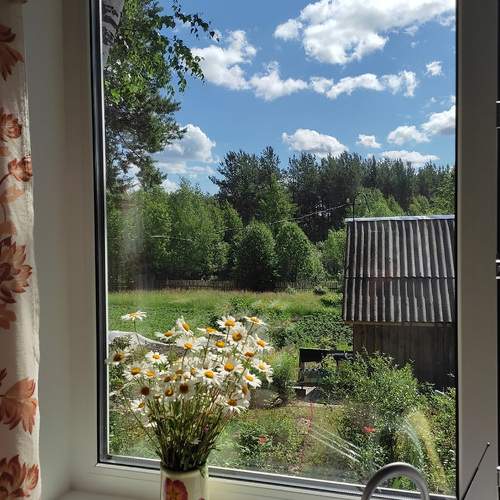 Photo #10170201