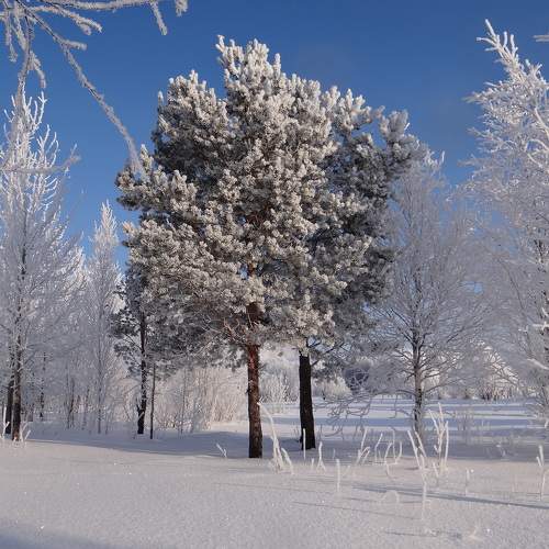 Photo #10170202
