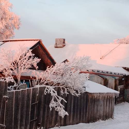Photo #10170566