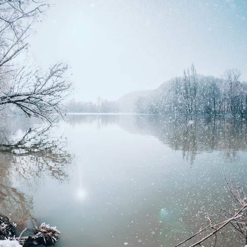 Photo #10170574