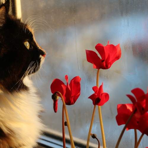 Photo #10170752