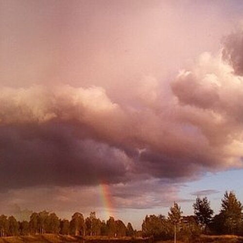 Photo #10170976