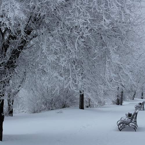 Photo #10171100