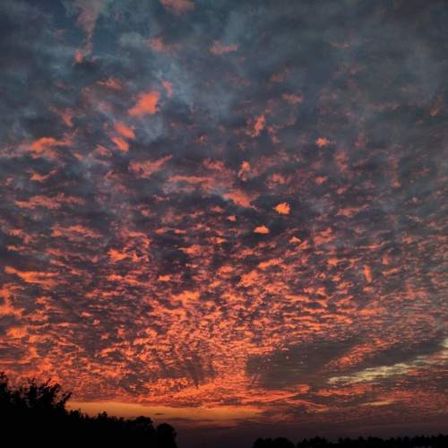 Photo #10171194