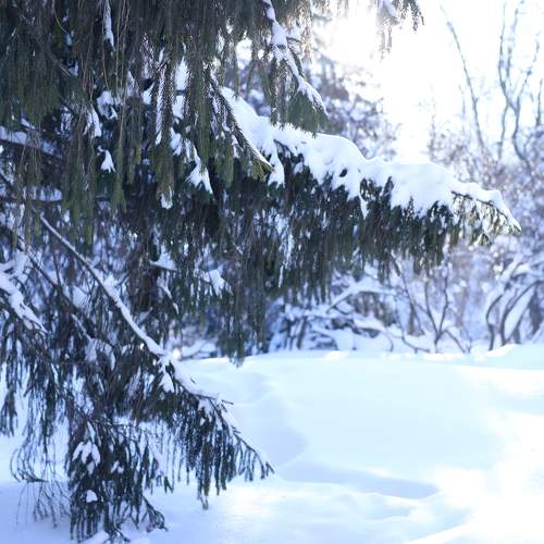 Photo #10171251