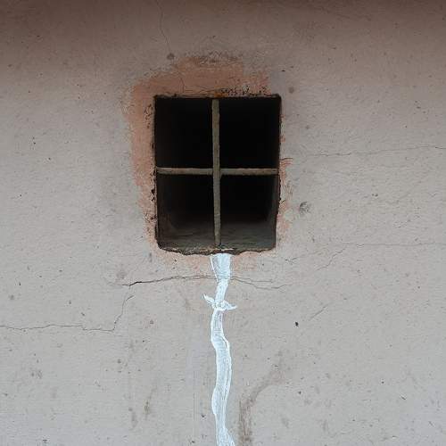 Photo #10171541