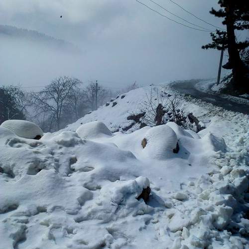 Photo #10171624