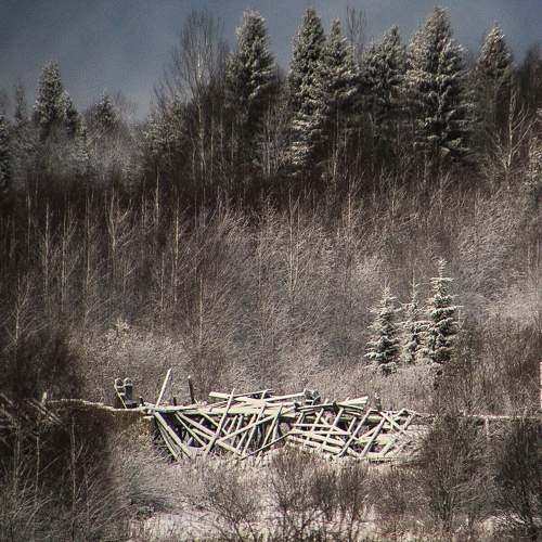 Photo #10171675