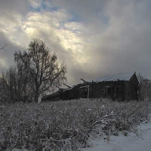 Photo #10171676