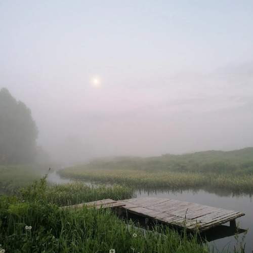 Photo #10171749
