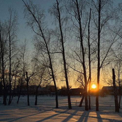 Photo #10171771