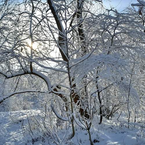 Photo #10171946