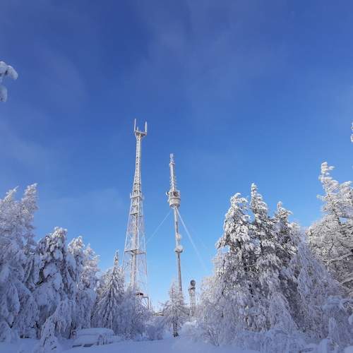 Белое безмолвие