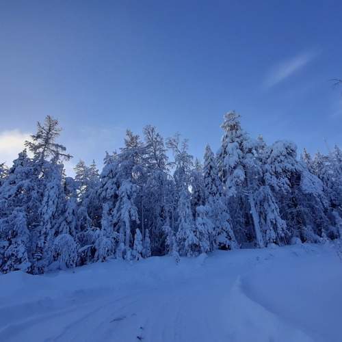 Photo #10172005