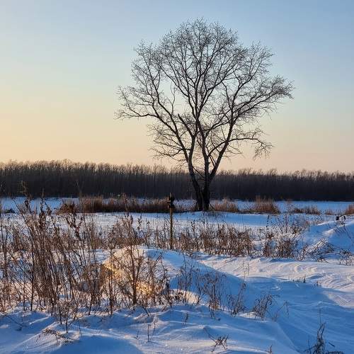 Photo #10172008