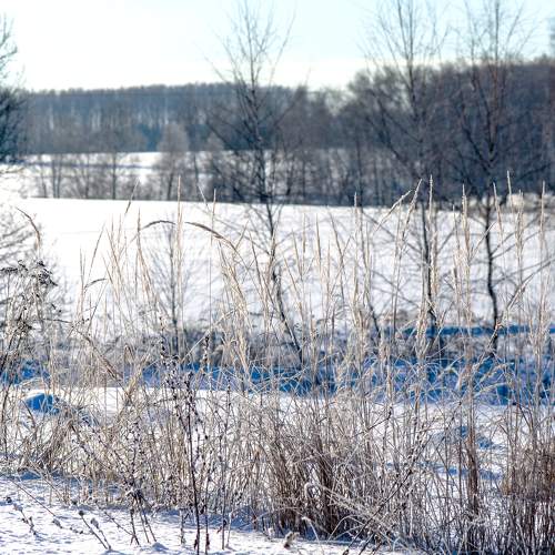Photo #10173302