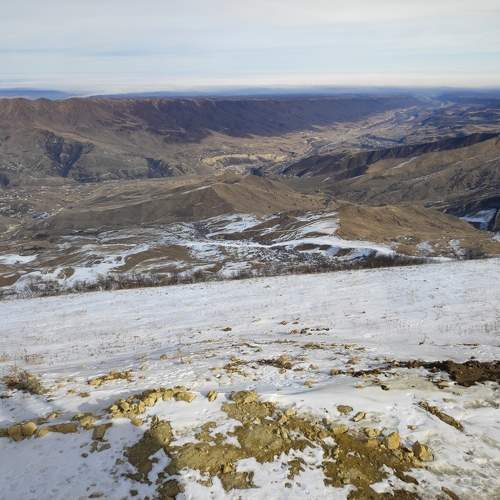Photo #10173831