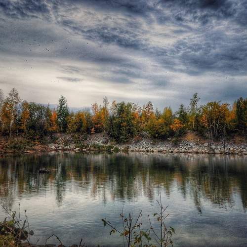 Photo #10174188