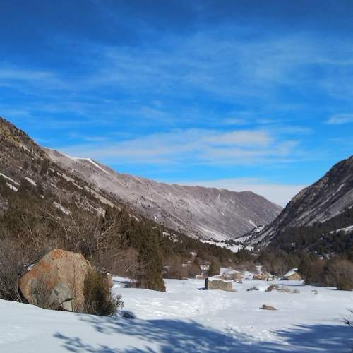 Photo #10174292