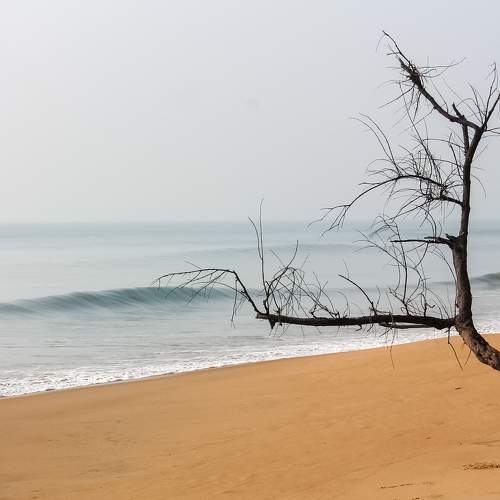 Lazy Beachside