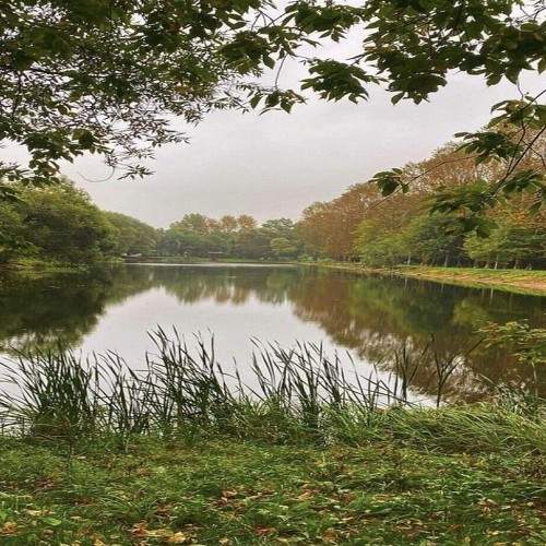 Photo #10174357