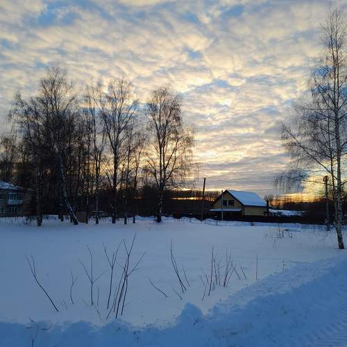 Photo #10174916