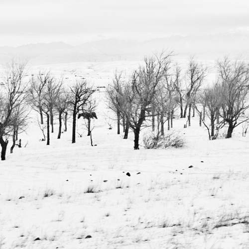 Photo #10175243