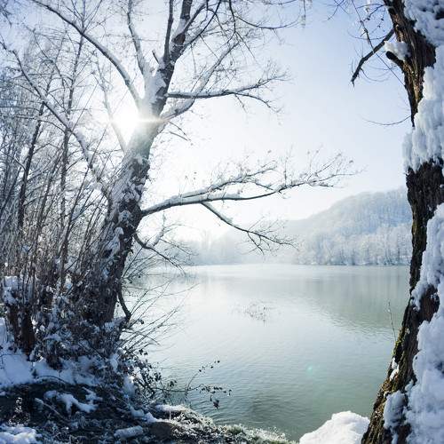 Photo #10175575
