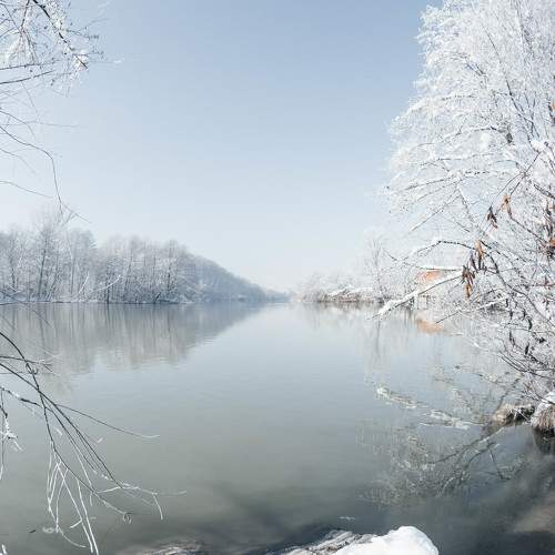 Photo #10175585